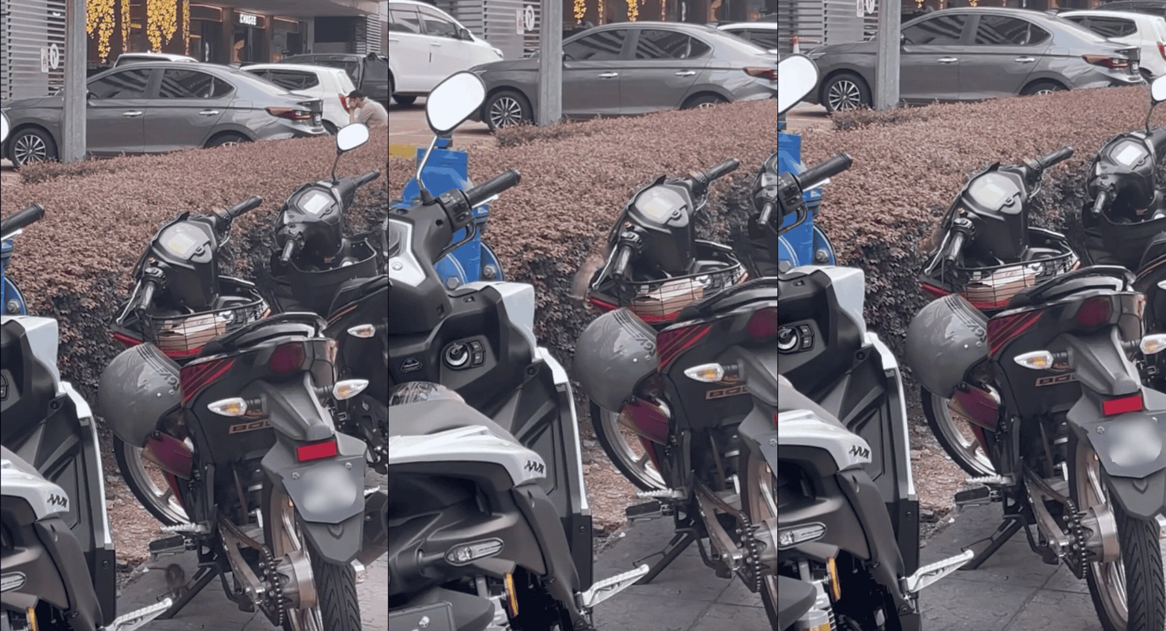 Niat Simpan Makanan, Tapi Bertukar Jijik! Netizen Dedah Risiko Tinggal Makanan Dalam Raga Motor