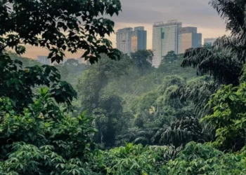 Gambar: Official Website @pulaitrail