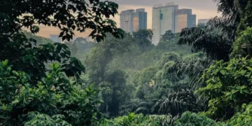 Gambar: Official Website @pulaitrail