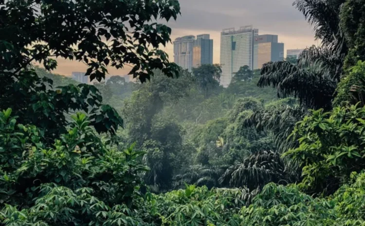 Gambar: Official Website @pulaitrail