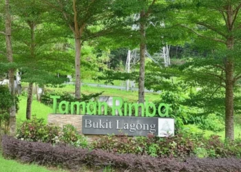 Gambar: Facebook @Taman Rimba Bukit Lagong