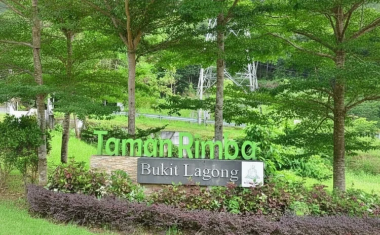 Gambar: Facebook @Taman Rimba Bukit Lagong