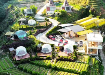 Gambar: Instagram @amoss_farmstay