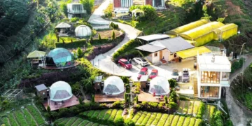 Gambar: Instagram @amoss_farmstay