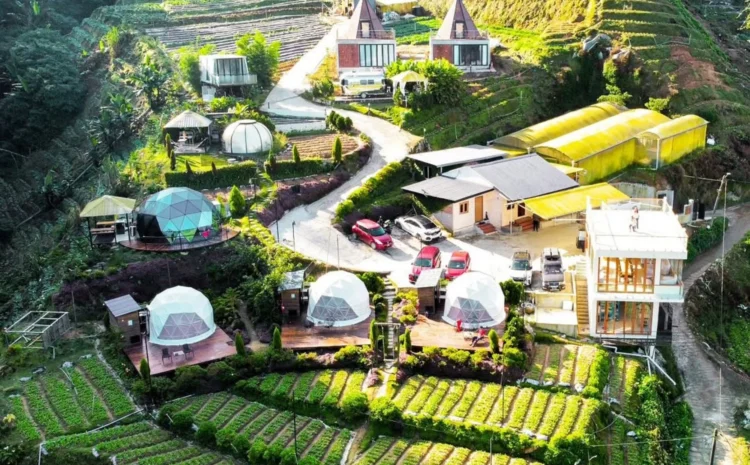Gambar: Instagram @amoss_farmstay