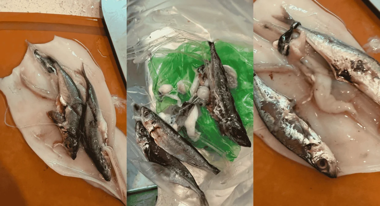 Setiap Sotong Ada Ikan Dalam Perut? Perkongsian Pembeli Cetus Perdebatan Netizen