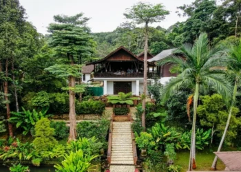Gambar: Official Website @Kebun Rimba Private Estate