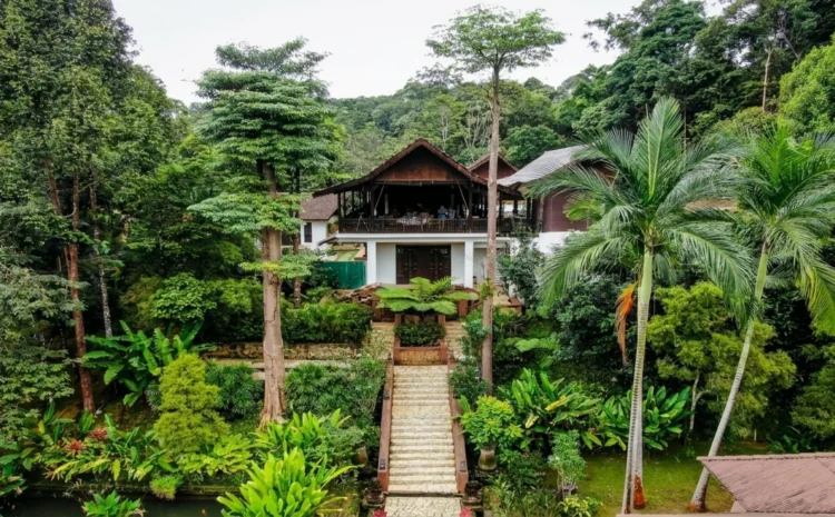 Gambar: Official Website @Kebun Rimba Private Estate