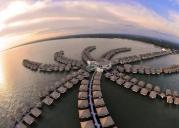 Gambar: Official Website @golden palm tree malaysia
