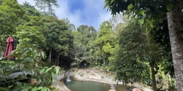 Gambar: Facebook @Naluyan Jungle Lodge, Tenom