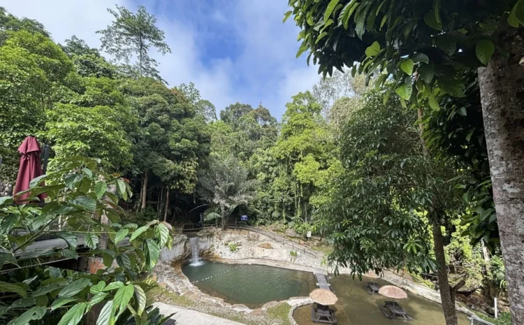Gambar: Facebook @Naluyan Jungle Lodge, Tenom