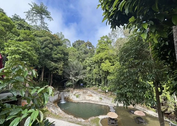 Gambar: Facebook @Naluyan Jungle Lodge, Tenom