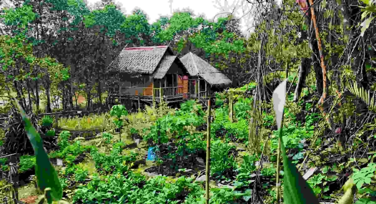 Jom Healing Di Min House Camp, Syurga Alam Semula Jadi Dekat Kota Bharu Yang Mesra Keluarga & OKU
