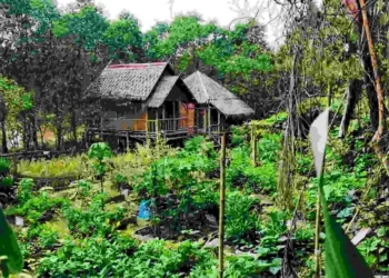 Gambar: Official Website @Min House Camp