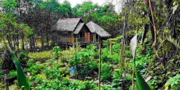Gambar: Official Website @Min House Camp