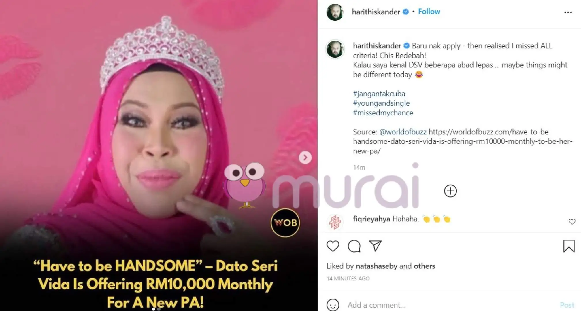 Have to be HANDSOME - Dato Seri Vida Is Offering RM10,000 Monthly