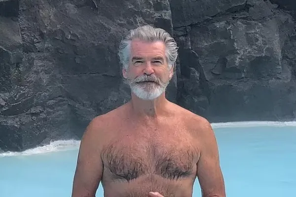 Pierce Brosnan Kena Hukuman Penjara 6 Bulan Di Amerika Syarikat, Ini